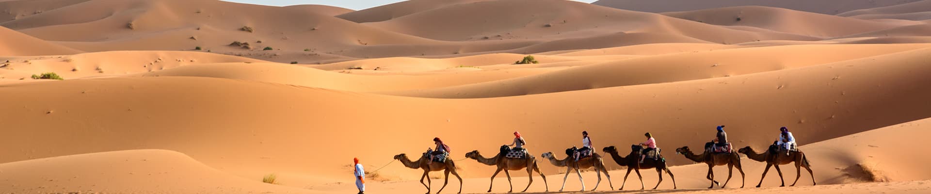 Trips Morocco