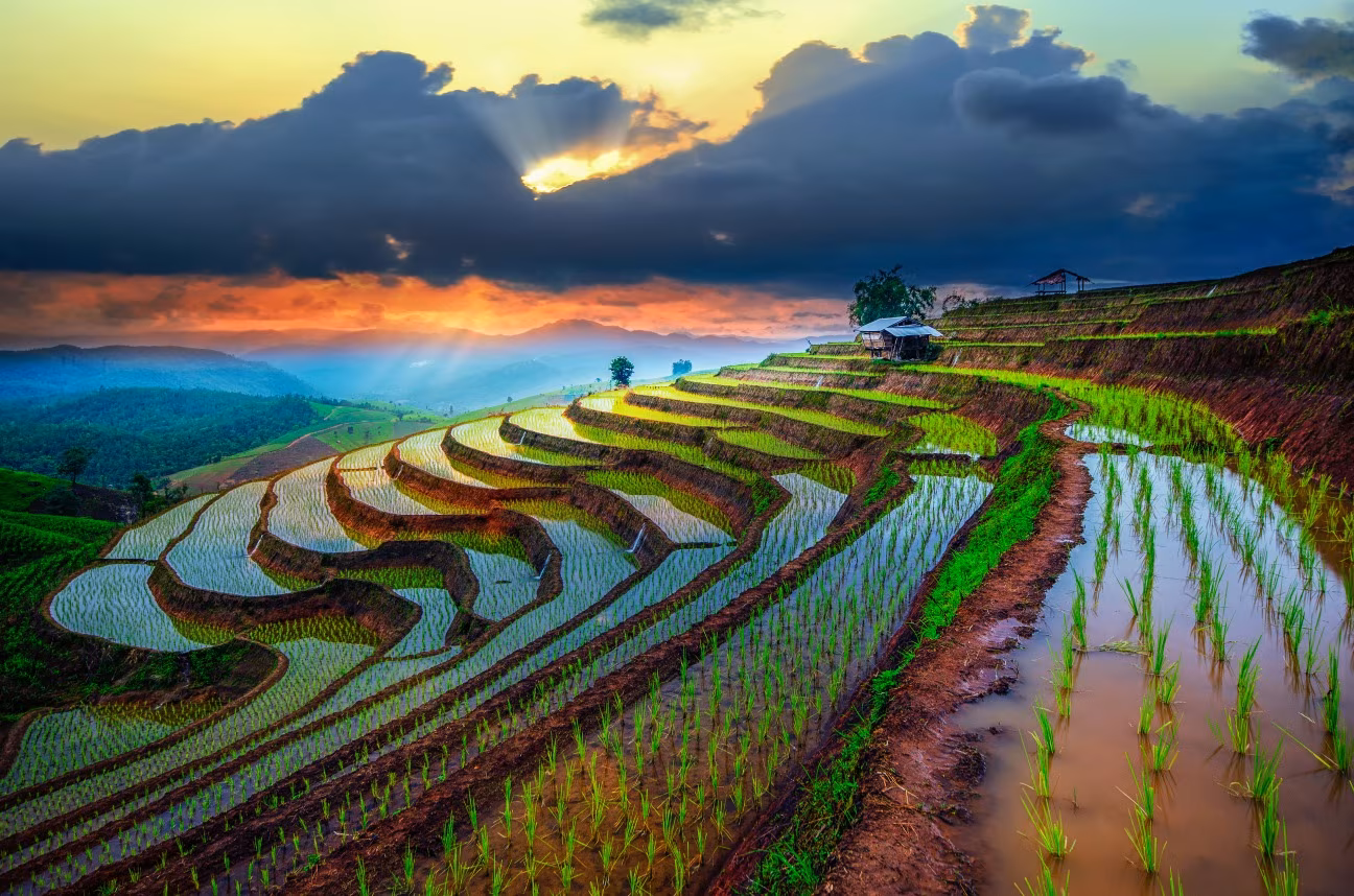 La Thaïlande en été
